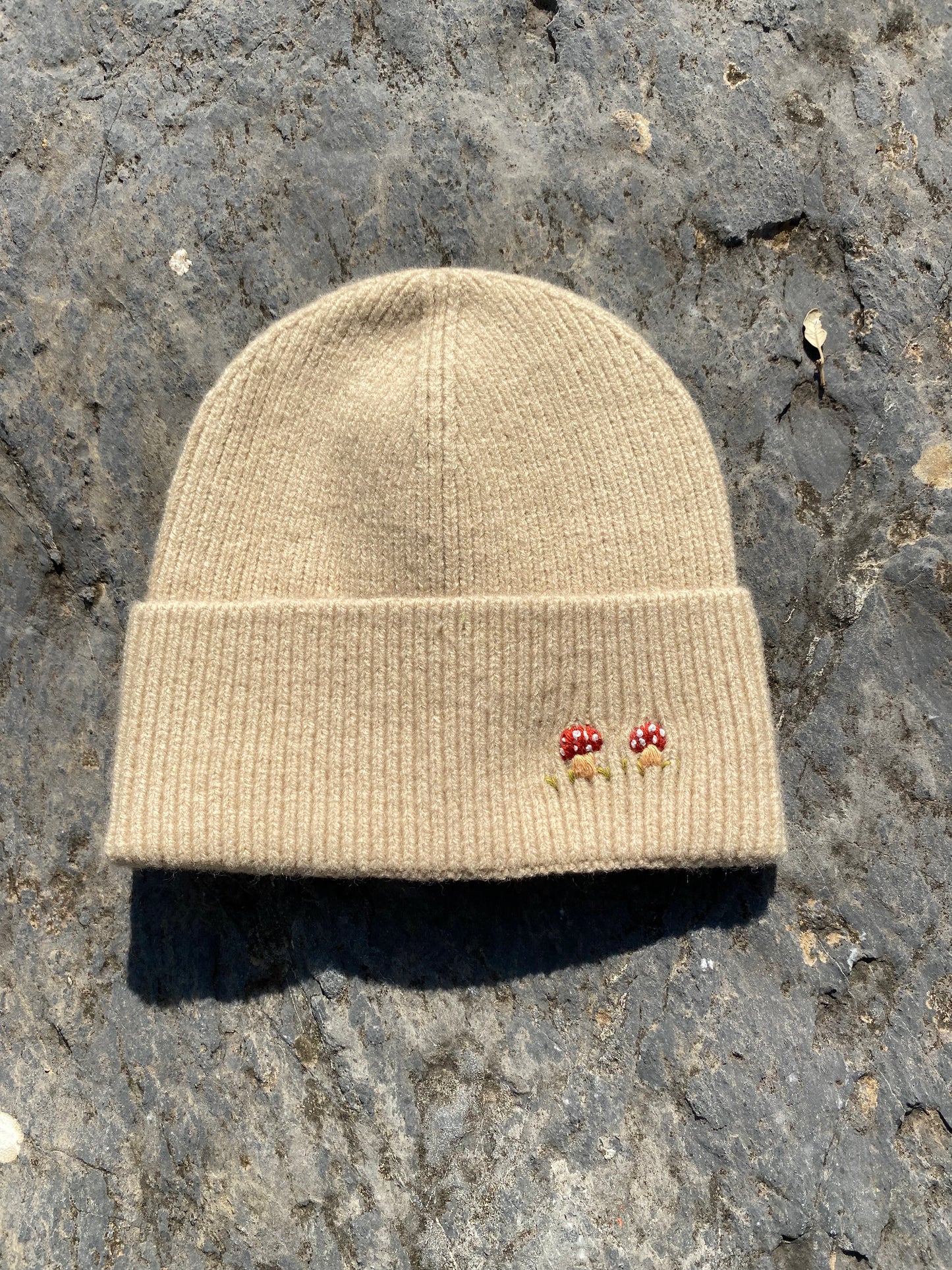 beanie funghetti